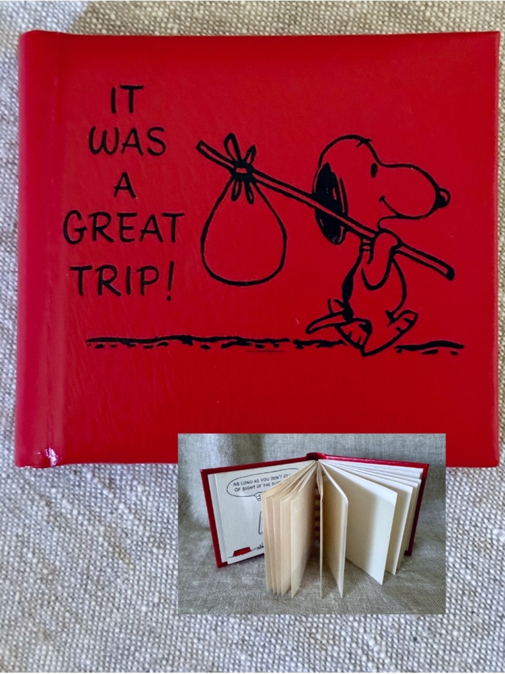 Vintage 1967 Peanuts Hallmark Travel Photo Album